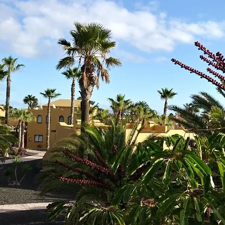 Casa Ilaria Fuerteventura -wifi Free Piscina Olimpionica *
